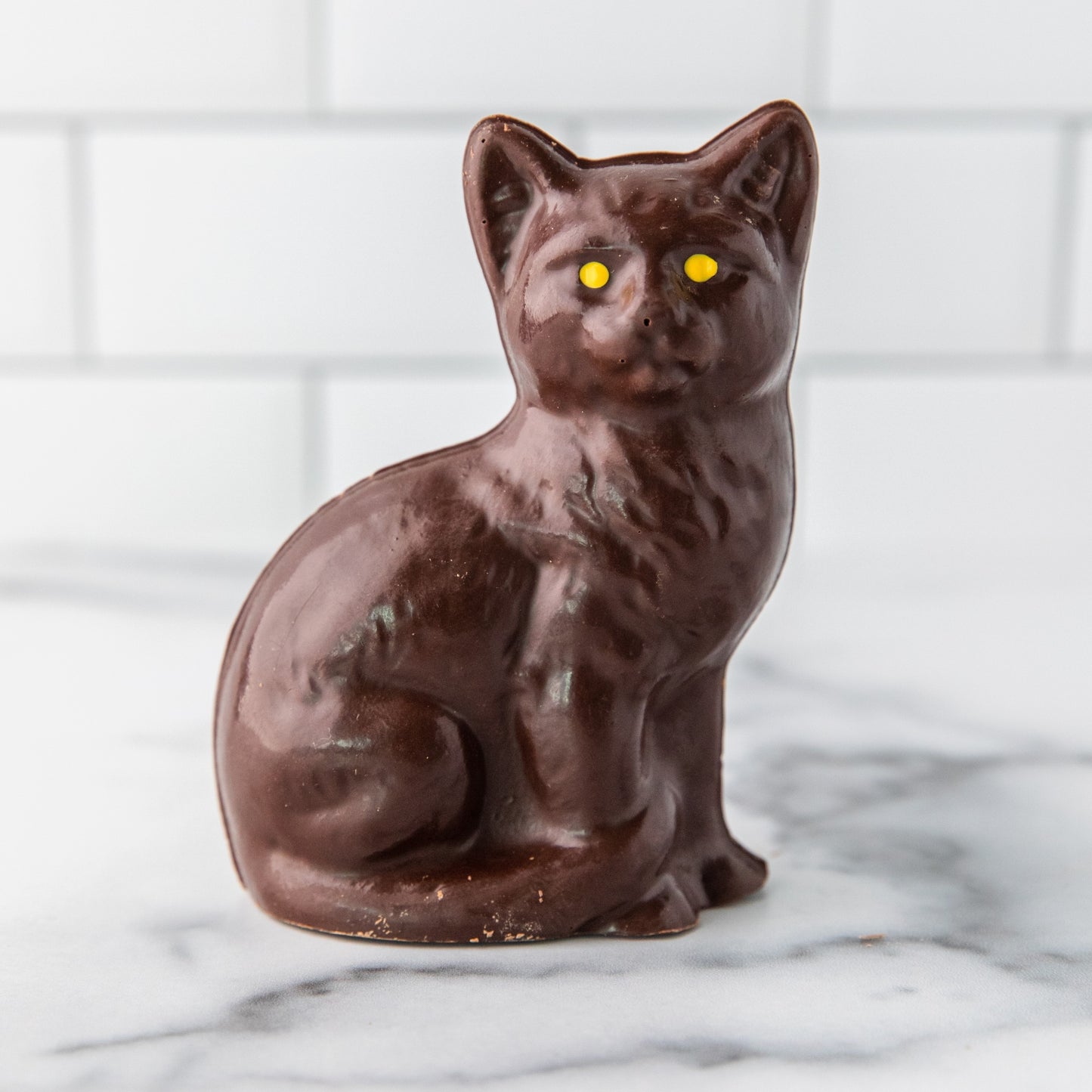 Black Cat Halloween