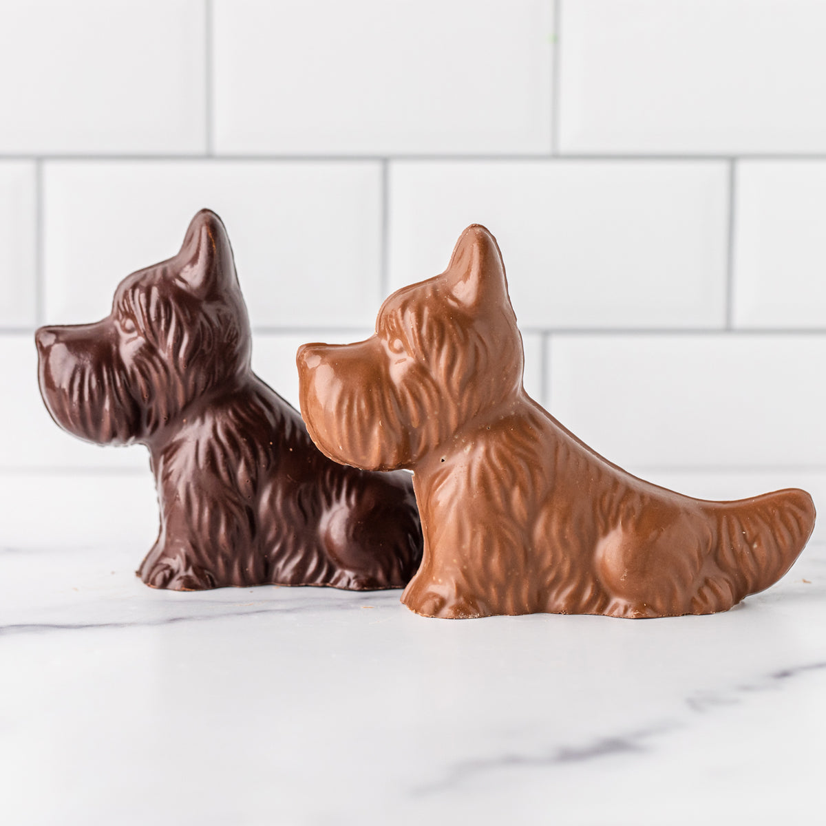 Dog chocolate clearance bar