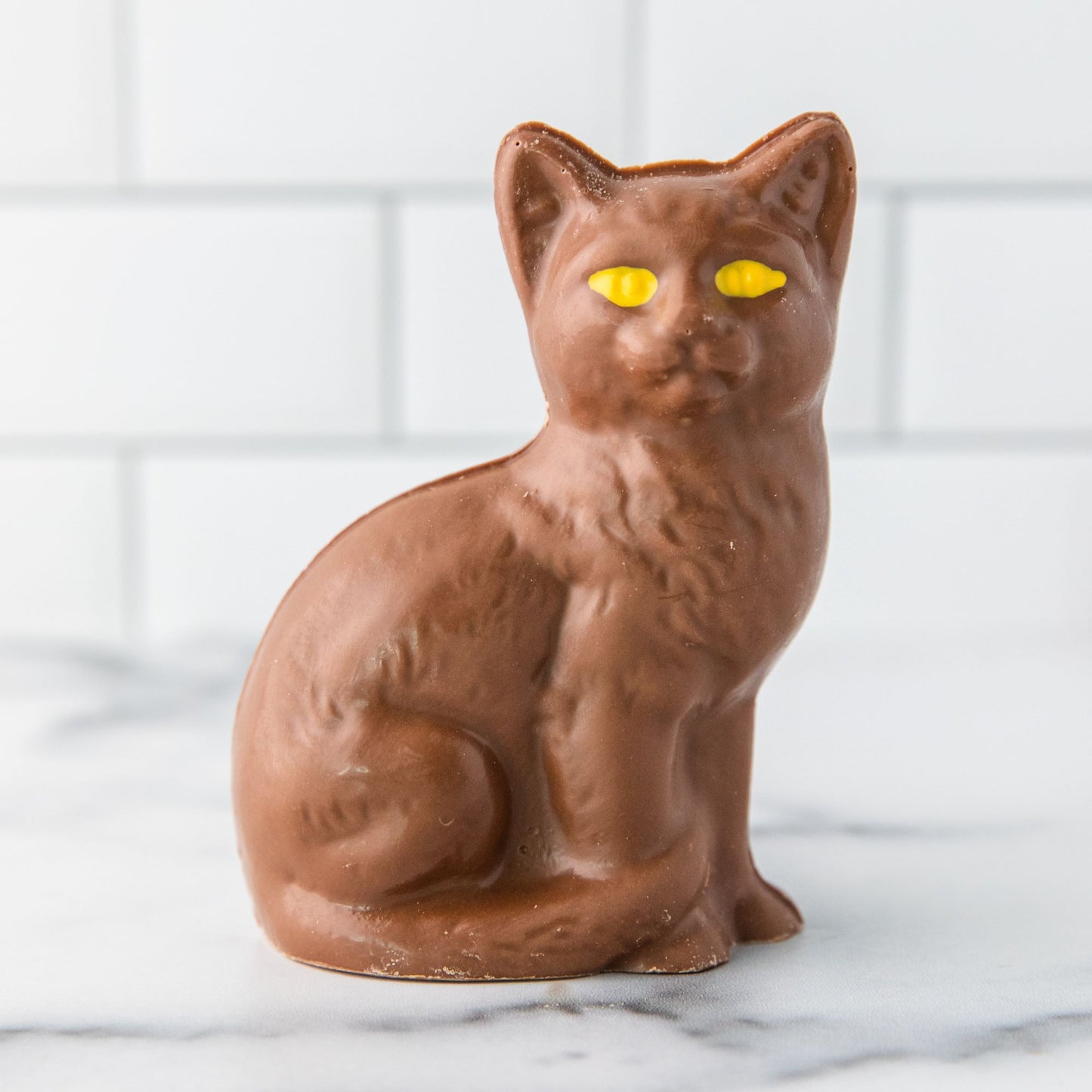 Black Cat Halloween