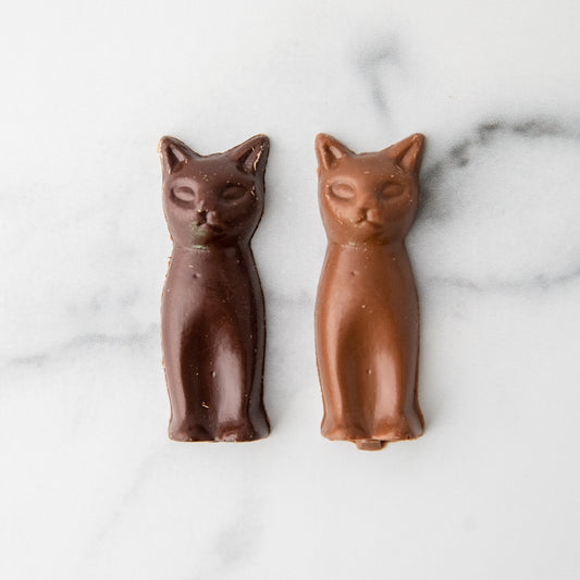 Evil Kitties